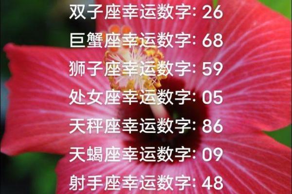 金牛座的幸运数