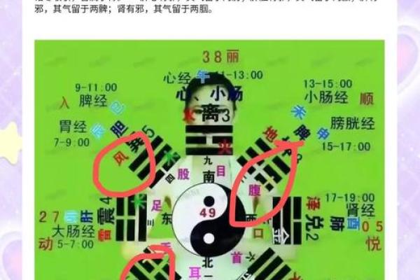 2025年4月23日戌时女命紫微斗数全解盘