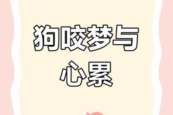 梦到狗追咬是什么意思 梦到狗追咬是什么意思
