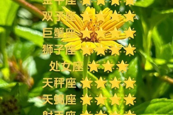 白羊座今天的运气女(白羊今天运势如何女) 白羊座今天的运气女(白羊今天运势如何女)