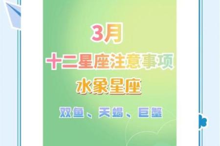 2023星浪星座运势全解析精准预测助你解锁好运