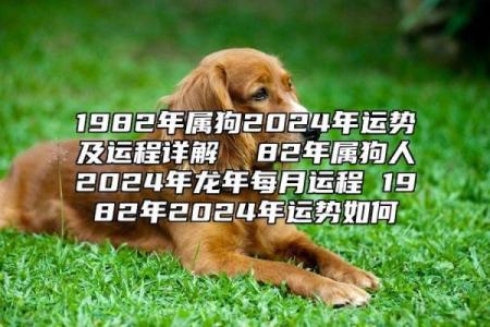 1982年的狗五行属什么 1982年属狗五行属性解析命运与性格全揭秘