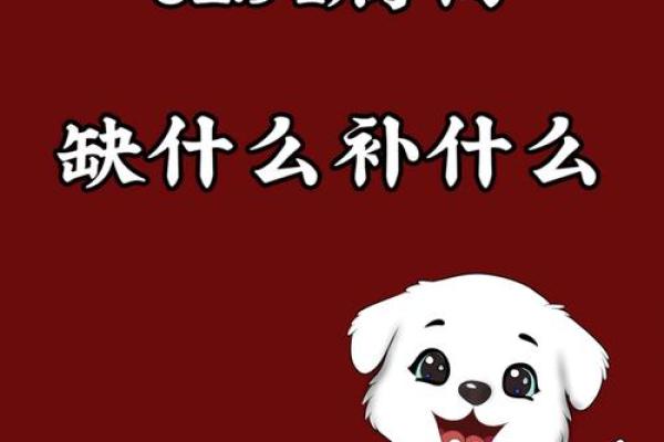1994年属狗2025年多大_1994年属狗2020年几岁