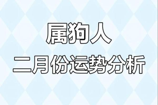 2025年属狗男运势解析婚姻与事业双丰收