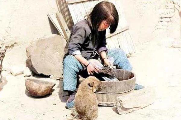 1946年属什么 1946年属什么