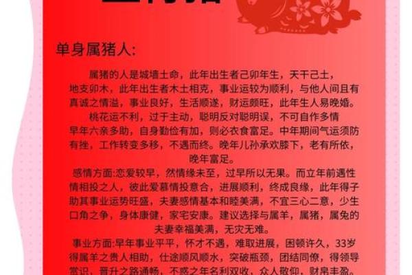 2025年属猪人幸运颜色指南提升运势的最佳选择