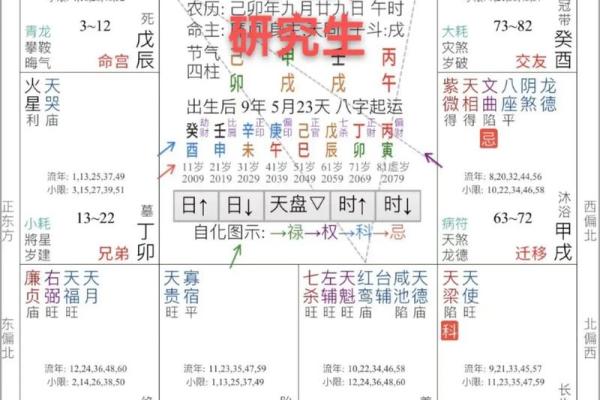 2025年4月5日未时男命紫微斗数全解盘 2025年4月5日未时男命紫微斗数全解盘