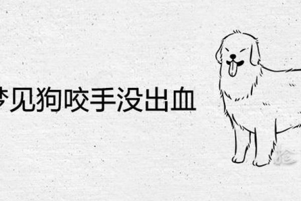 梦见被狗咬到手 梦见被狗咬到手