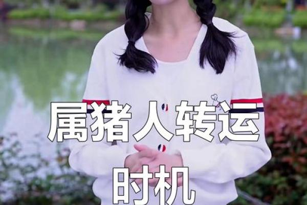 属猪2025年的运势及运程_2025年属猪运势详解全年运程大揭秘