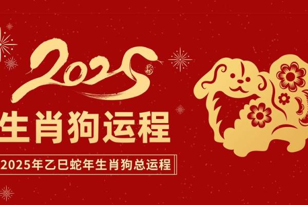 生肖狗2025年运势及运程详解 属相牛2025年运势及运程详解 生肖狗2025年运势及运程详解 属相牛2025年运势及运程详解