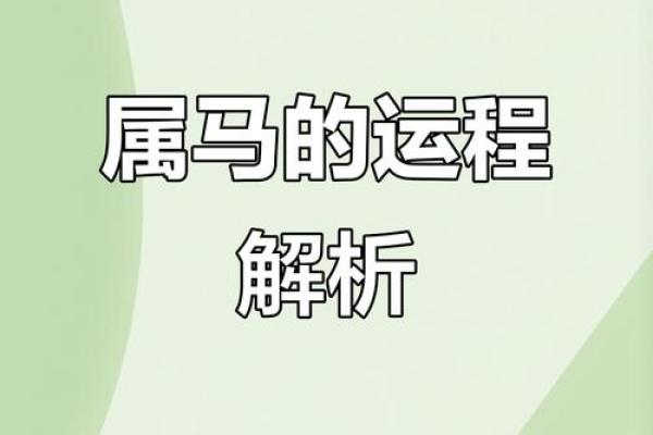 1978年属马女今年的运气如何_1978年属马女2024年运势解析事业财运健康全指南