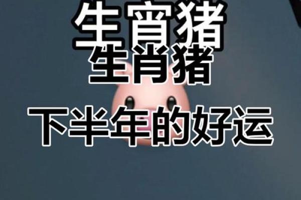 1983年属猪今日财运_1983年属猪今日财运查询