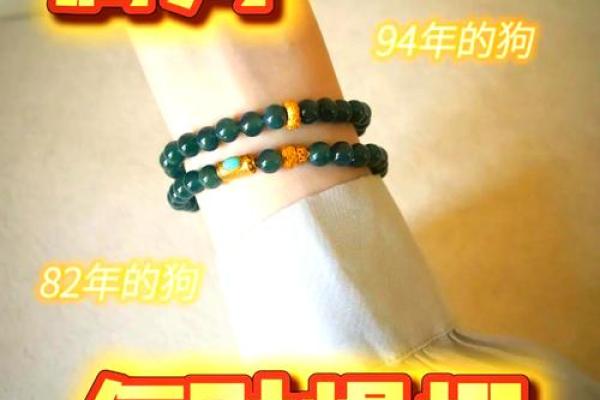 属狗人2025年运势详解财运事业爱情全面解析 属狗人2025年运势详解财运事业爱情全面解析