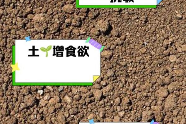 怎么样算动土 怎么样算动土