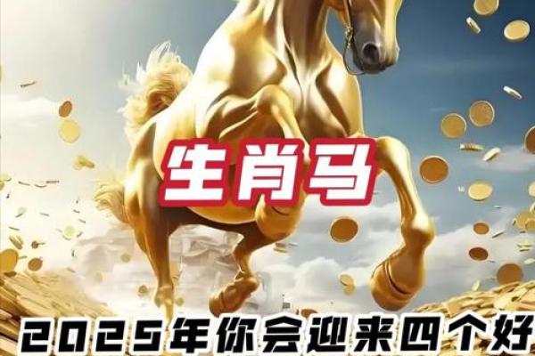 1954年属马人2025年运势详解吉凶预测与建议 1954年属马人2025年运势详解吉凶预测与建议