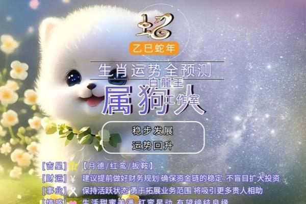 属狗多大2025年虚岁了_属狗人2021多大