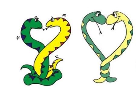 梦到两条蛇预示着什么