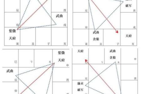 2025年4月8日子时男命紫微斗数全解盘