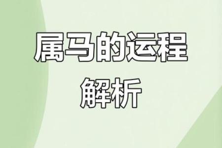 1978年属马女今年的运气如何_1978年属马女2024年运势解析事业财运健康全指南