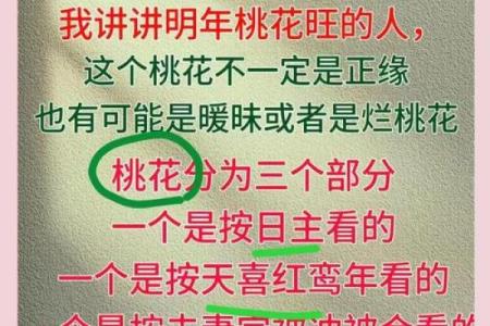 十二星座今日桃花运势 十二星座今日桃花运势解析谁将邂逅浪漫爱情