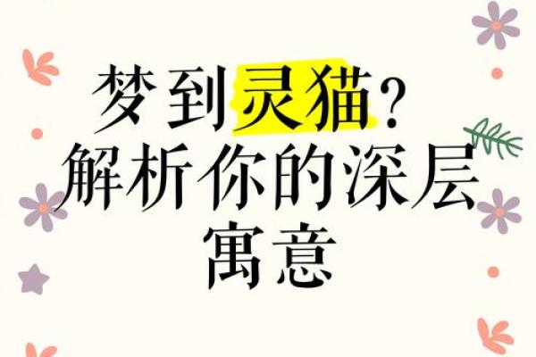 做梦梦见猫 做梦梦见猫