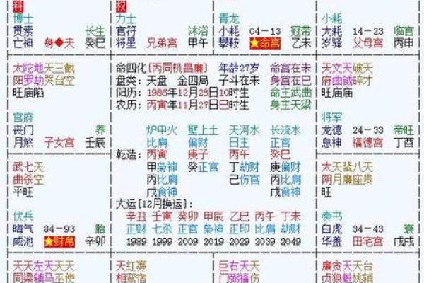 2025年4月6日巳时女命紫微斗数全解盘