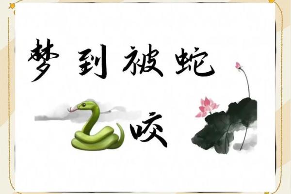 周公解梦被蛇咬了是什么意思 周公解梦被蛇咬了是什么意思