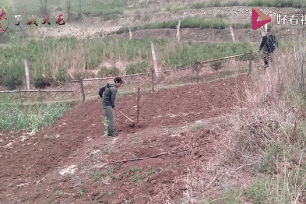 破土 动土 破土 动土