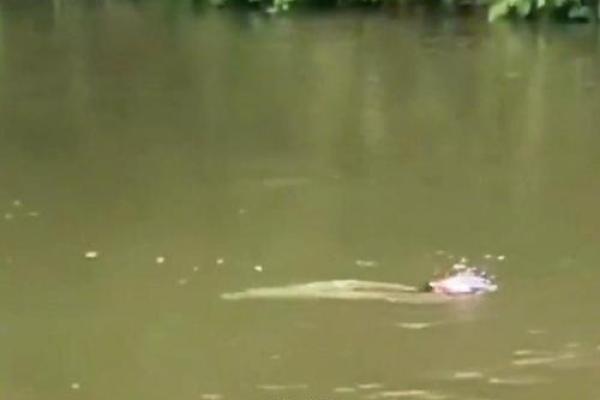 梦见儿子掉水里了是什么意思 梦见儿子掉水里了是什么意思