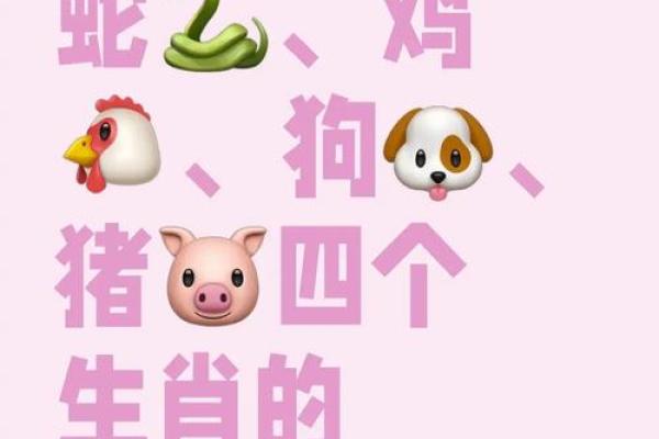 风花雪月是什么生肖(风花雪月是什么生肖谜底) 风花雪月是什么生肖(风花雪月是什么生肖谜底)