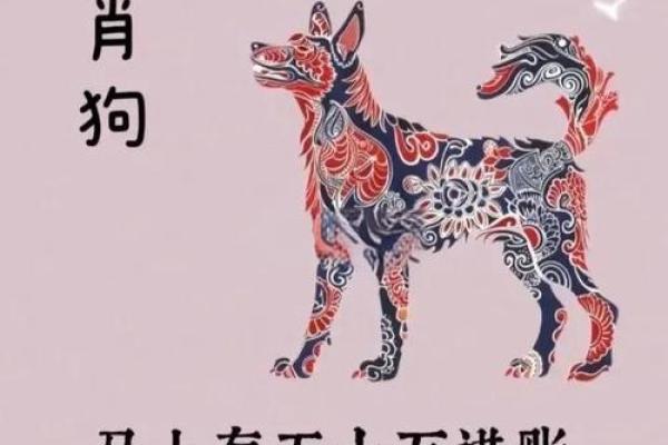 1994年属狗今日运势柱982年属狗女2025年_1994年属狗今日运势解析1982年属狗女2025年运程预测 1994年属狗今日运势柱982年属狗女2025年_1994年属狗今日运势解析1982年属狗女2025年运程预测