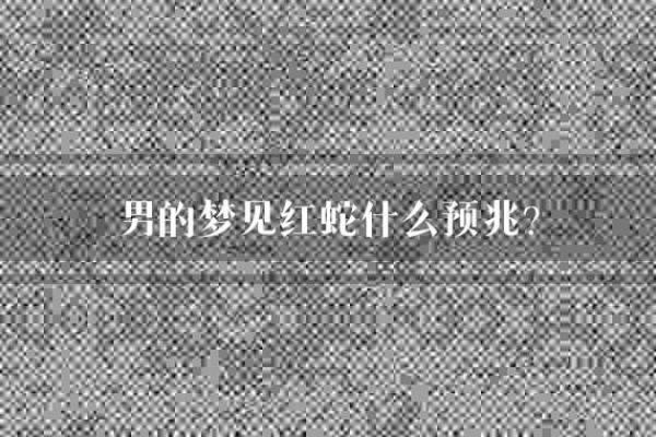 梦见很多蛇是什么预兆男人 梦见很多蛇是什么预兆男人