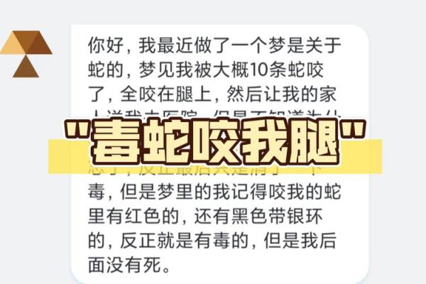 梦见很多蛇是什么预兆男人 梦见很多蛇是什么预兆男人