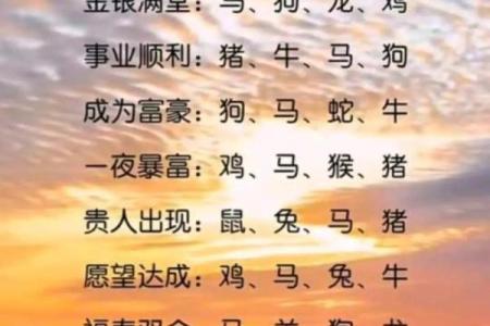 风雨同舟是什么生肖