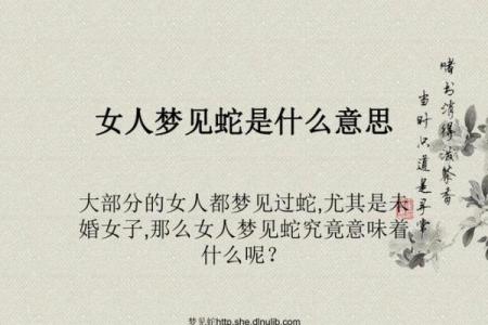 梦到家里有蛇是什么意思