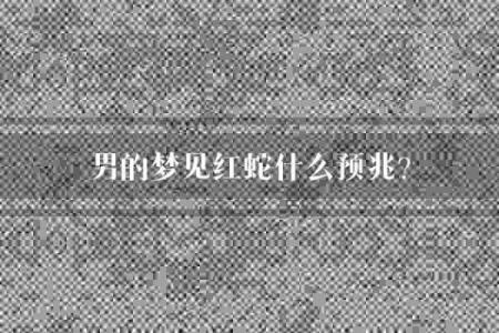 梦见很多蛇是什么预兆男人