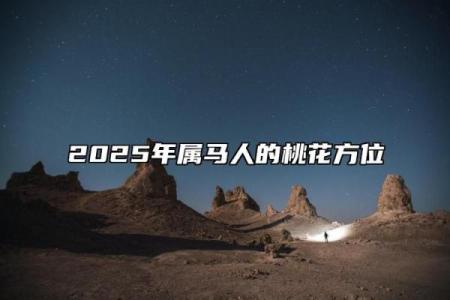 2025年属马女感情运势解析桃花运与婚姻走势全预测
