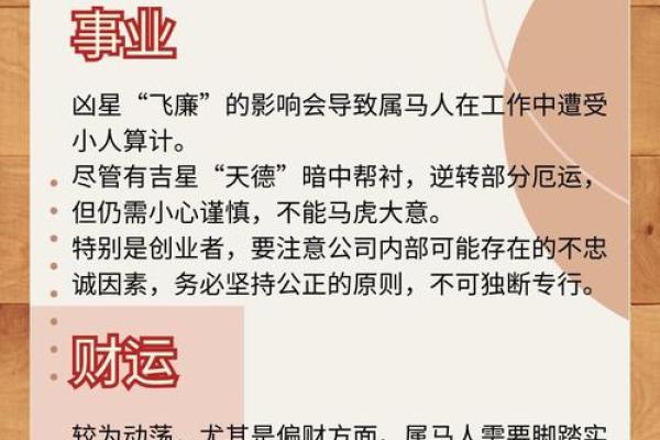 属马人2025年全年运势1978年_2025年属马人的命运