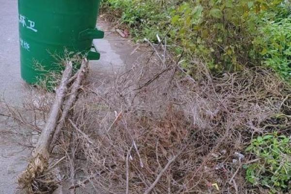 26号可以动土吗 26号可以动土吗