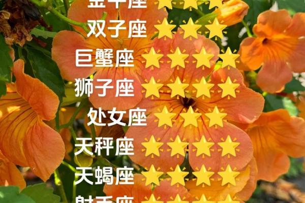 金牛男今日最准运势 金牛男今日最准运势