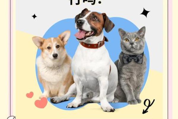 2006年狗五行属什么_2006年狗五行属性 2006年狗五行属什么_2006年狗五行属性