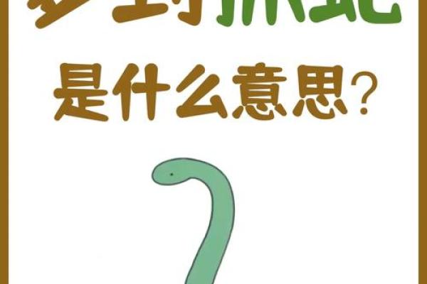 经常梦到蛇是什么征兆 女性 经常梦到蛇是什么征兆 女性