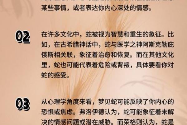 梦到蛇追着我跑是什么意思 梦到蛇追着我跑是什么意思