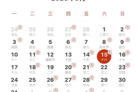 2025年最佳结婚吉日表属鼠的(2022年属鼠结婚吉日日历表)