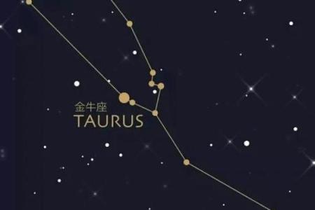 金牛座女和处女座男