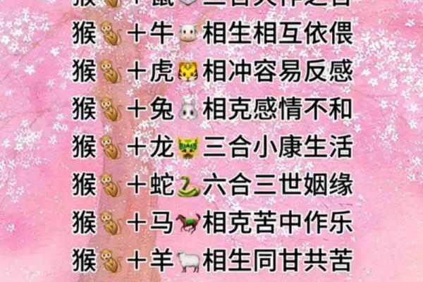 属龙跟属马的姻缘相配吗_男马女龙能过一辈子吗