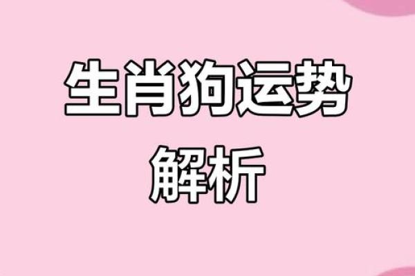生肖狗2025年运势_2025年生肖狗运势详解事业财运爱情全解析 生肖狗2025年运势_2025年生肖狗运势详解事业财运爱情全解析