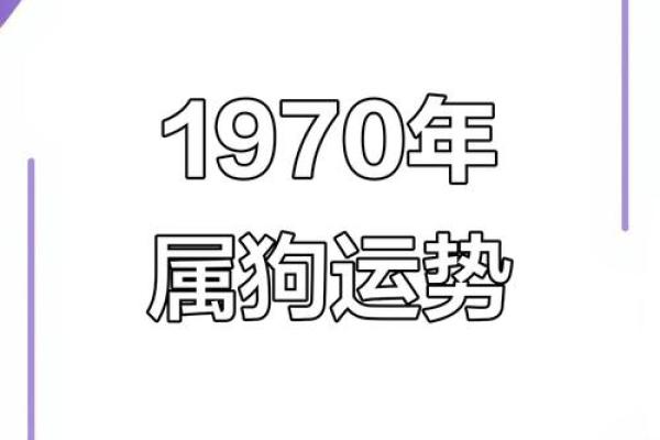 1970年属狗的今年运势_1970年属狗2025年运势 1970年属狗的今年运势_1970年属狗2025年运势