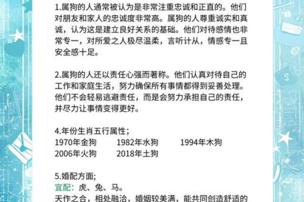 1982的狗是什么命 五行属什么 1982年属狗五行属什么命运解析与运势指南 1982的狗是什么命 五行属什么 1982年属狗五行属什么命运解析与运势指南