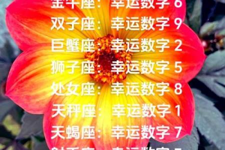 金牛座今天的运程